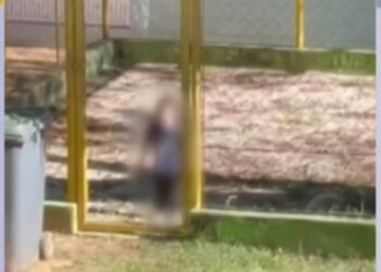 Criança de dois anos é flagrada dentro de “jaula” em escola infantil municipal em Sorocaba
