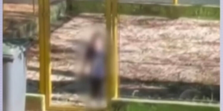 Criança de dois anos é flagrada dentro de “jaula” em escola infantil municipal em Sorocaba