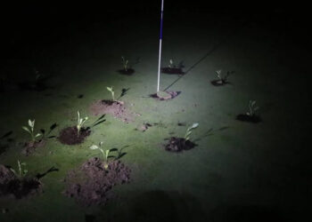 Ativistas bloqueiam buracos de campos de golfe na Espanha em protesto contra a escassez de água