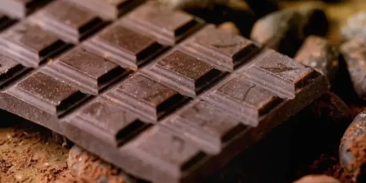 Chocolat Festival promove sua 30ª edição em Ilhéus, na Bahia