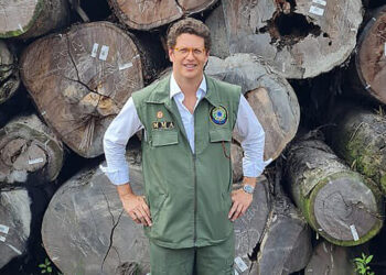 Ex-Ministro do Meio Ambiente Torna-se Réu por Envolvimento em Esquema de Exportação Ilegal de Madeira