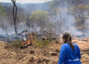 Suspensão Temporária das Emissões de Declaração de Queima Controlada na Bahia
