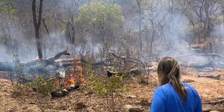 Suspensão Temporária das Emissões de Declaração de Queima Controlada na Bahia