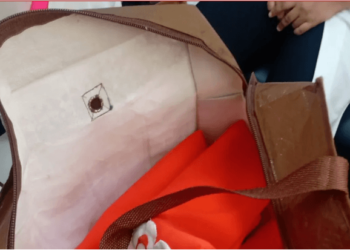 Mãe de recém-nascido encontrado dentro de sacola no interior da Bahia é identificada e diz estar arrependida