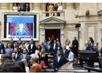 Argentina- Câmara de Deputados: Debate Aceso e Cortes Drásticos na Lei Omnibus de Milei