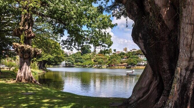 Dique do Tororó: denúncias de derrubada de árvores centenárias causam preocupação em Salvador