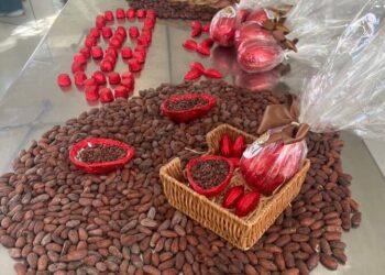 Estudantes de Ilhéus Produzem Ovos de Páscoa para Escolas Carentes e Impulsionam Indústria de Chocolate na Bahia
