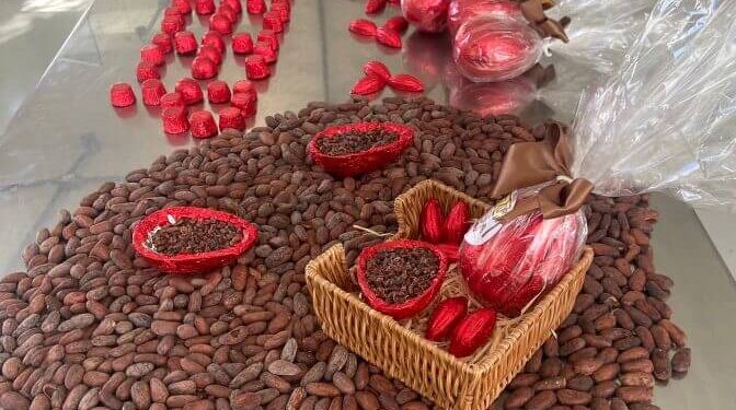 Estudantes de Ilhéus Produzem Ovos de Páscoa para Escolas Carentes e Impulsionam Indústria de Chocolate na Bahia