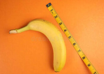 Estudo Global Coloca Brasil na 20ª Posição em Ranking do Tamanho Médio do Pênis