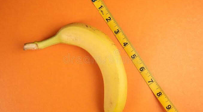 Estudo Global Coloca Brasil na 20ª Posição em Ranking do Tamanho Médio do Pênis