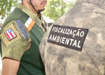 Bahia reduziu em 52% o desmatamento na área do Matopiba