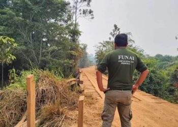 Governo vai contratar 1,9 mil servidores; veja o que foi divulgado sobre as vagas