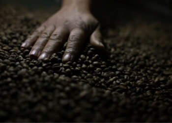 China libera 183 empresas brasileiras para exportar café: alívio chega em boa hora para o Brasil