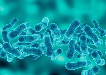 Casos e Mortes no Surto de Legionella em Nova York