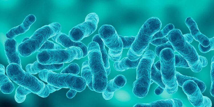 Casos e Mortes no Surto de Legionella em Nova York