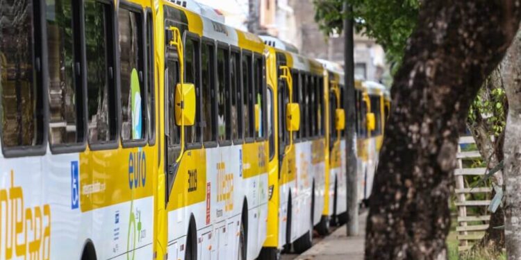 Prefeitura de Salvador prepara operação de transporte para festejos do 7 de Setembro