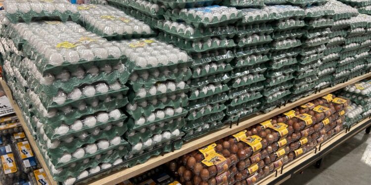 Produtos de Semana Santa em Salvador: histórico aponta o ovo de galinha como um dos vilões do período