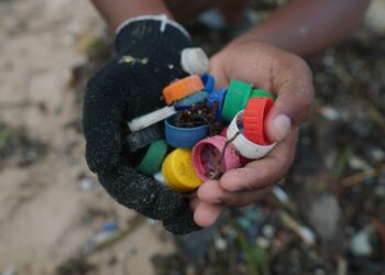 Projeto Mares mobiliza estudantes e comunidade em limpeza de praia e ação subaquática na Ilha de Itaparica