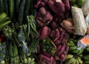 Salvador recebe encontro nacional de Pesquisas em Gastronomias
