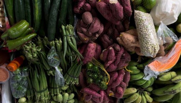 Salvador recebe encontro nacional de Pesquisas em Gastronomias