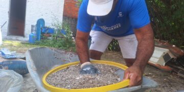 Projeto Mares inicia produção de sementeiras para cultivo de corais nativos na BTS