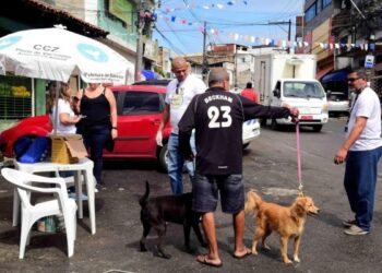 Sugestão de pauta: Bahia inicia Campanha de Vacinação Antirrábica para Cães e Gatos