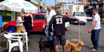 Sugestão de pauta: Bahia inicia Campanha de Vacinação Antirrábica para Cães e Gatos