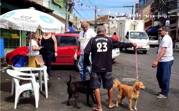 Sugestão de pauta: Bahia inicia Campanha de Vacinação Antirrábica para Cães e Gatos