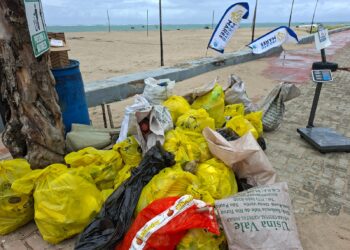 Projeto Mares recolhe 165 kg de resíduos em ação de limpeza de praia em Mar Grande