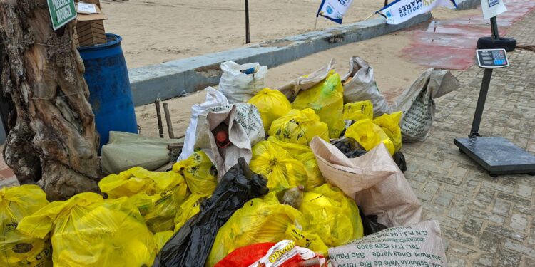 Projeto Mares recolhe 165 kg de resíduos em ação de limpeza de praia em Mar Grande